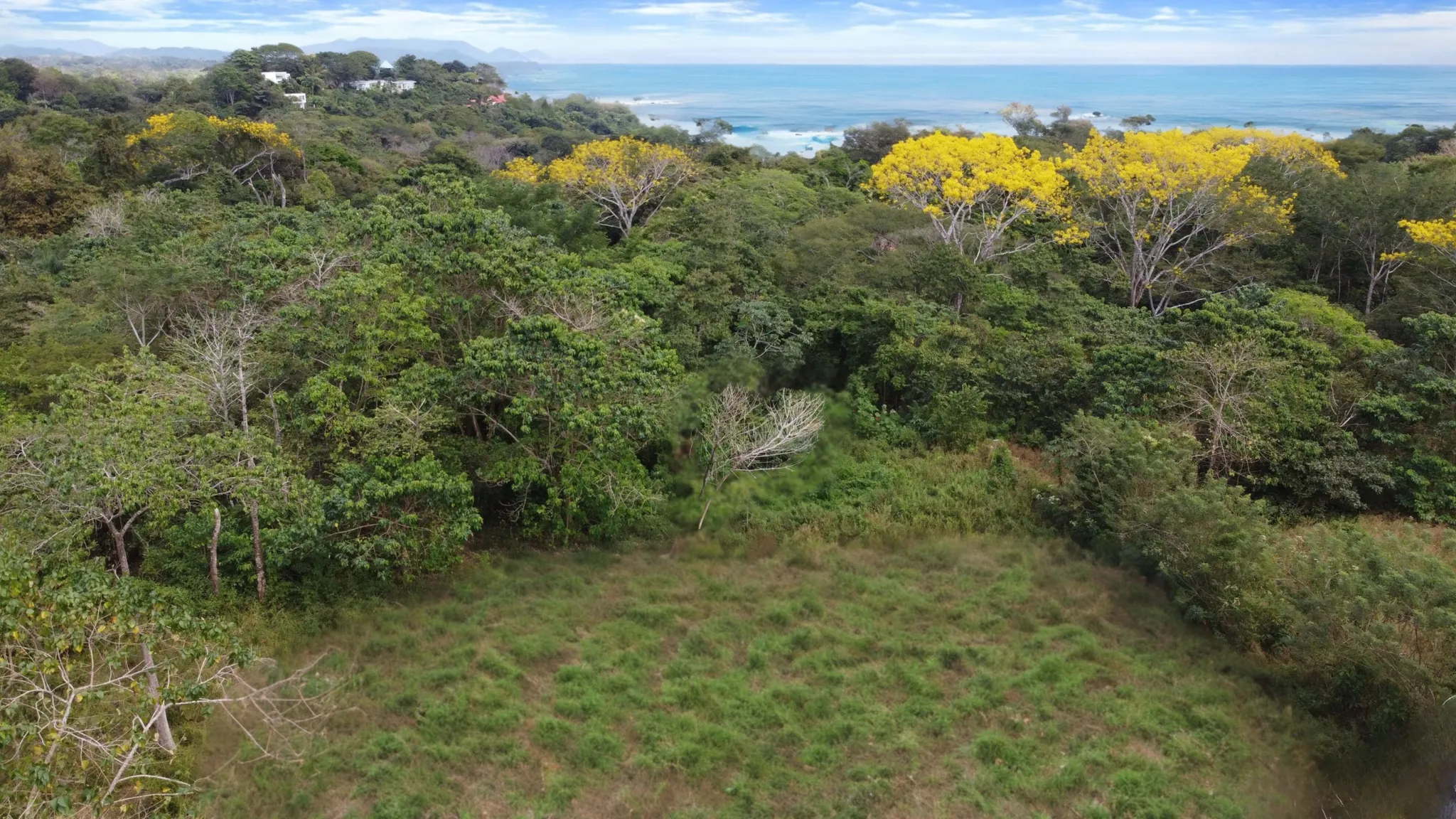 Beautiful flat land in Delicias de Montezuma - image 2