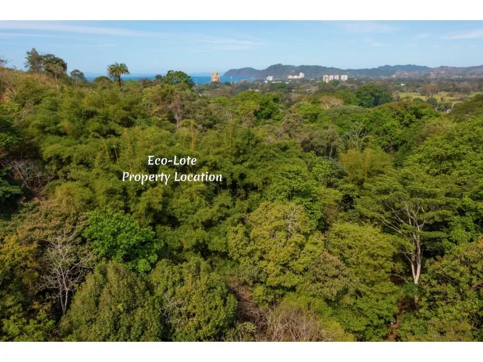  Property With Water Well And Solar Panel's System In Quebrada Seca (Jaco) - image 10