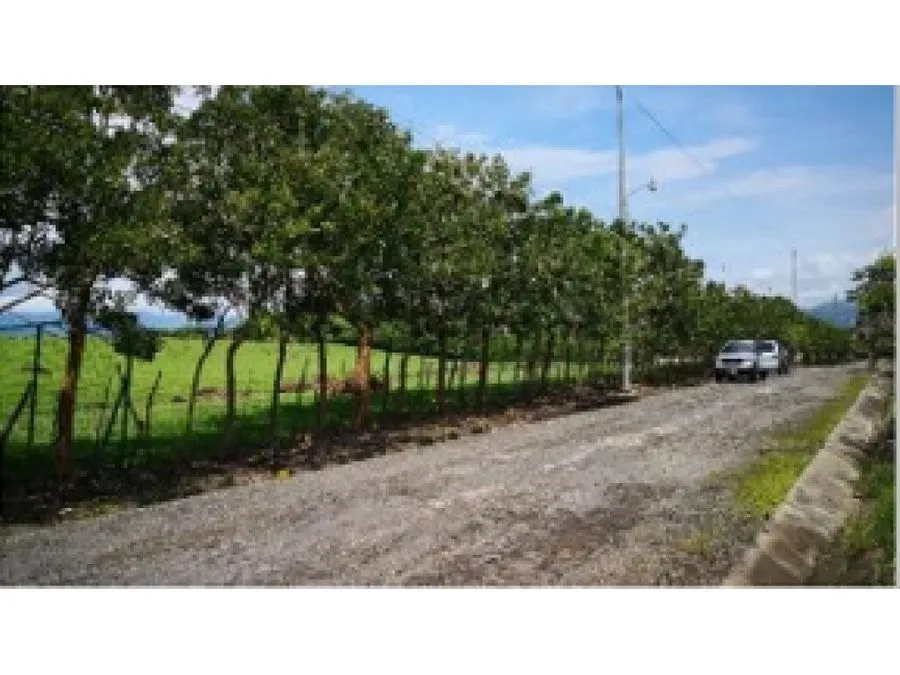 Lote plano en Turrucares - image 4