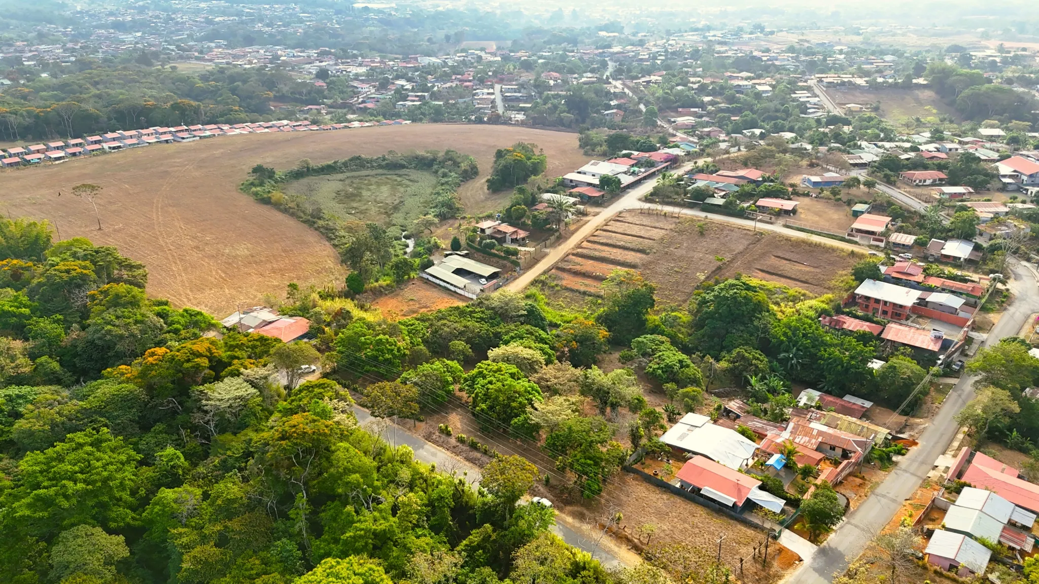 FRUIT TREE PROPERTY IN PEREZ ZELEDON, COSTA RICA - image 4