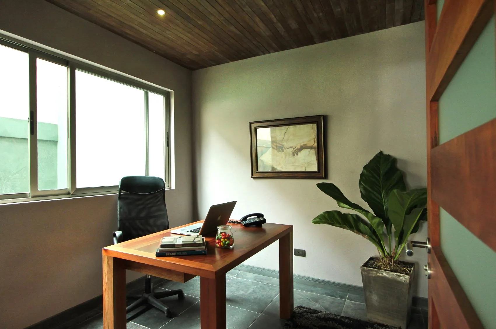 Incredible commercial investment opportunity in a prime location in the center of Santa Teresa - image 14