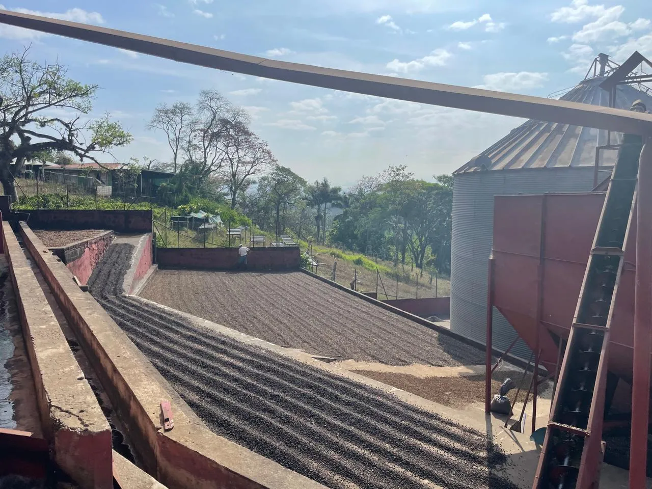 Venta Finca de Café, Beneficio y casa en Atenas - image 7