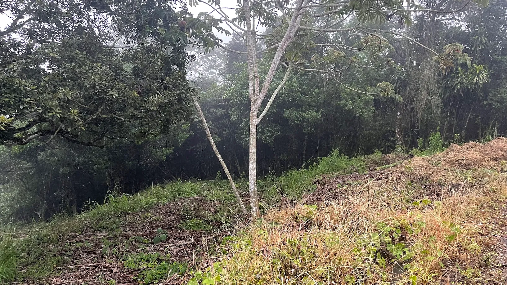 LOT FOR SALE IN SAN PEDRO, SAN RAMON - image 12