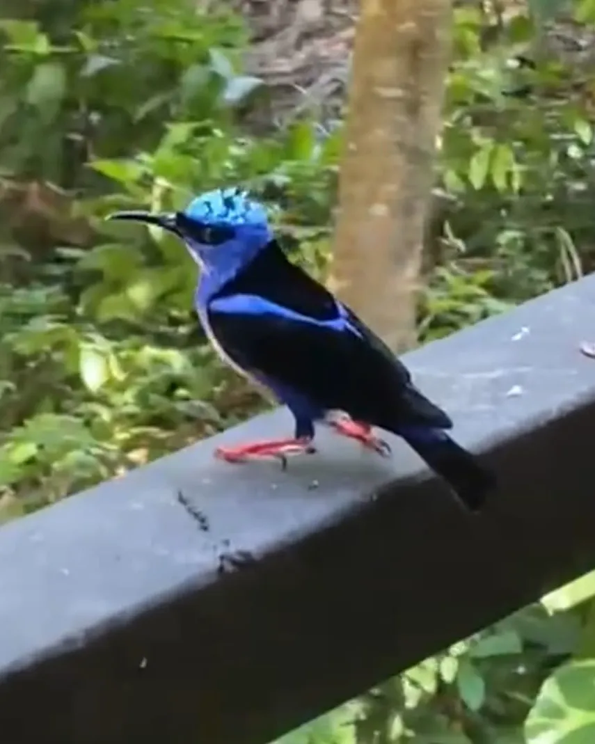 A Natural Sanctuary in Esterillos: Your Home Between The Jungle And The Sea - image 13