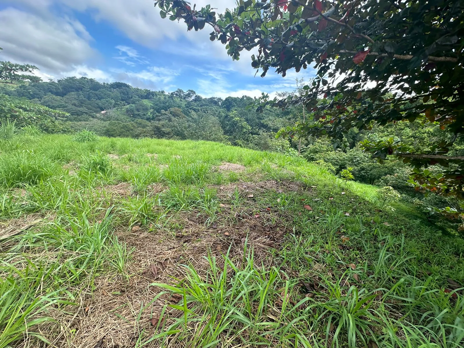 Build Your Future in Turrubares: Nature, Development, and Quality of Life - image 4