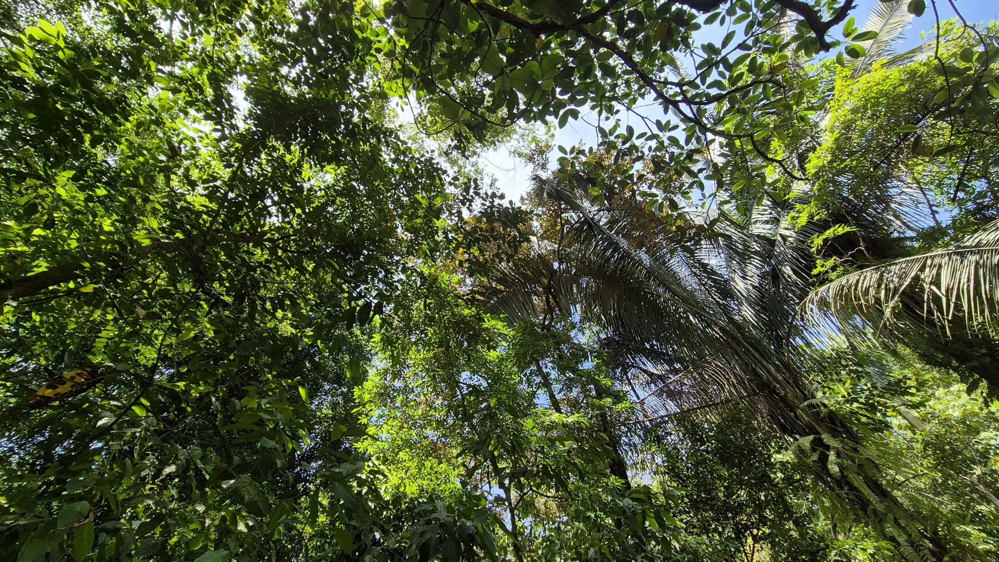 Conveniently Located Property at Playa Hermosa in Uvita, Costa Rica - image 13