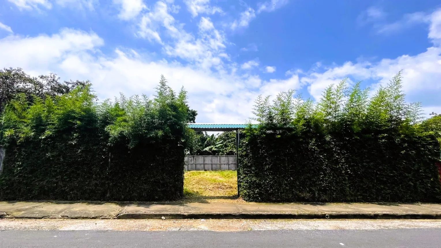 LOT FOR SALE IN SAN JUAN, SAN RAMON - image 5