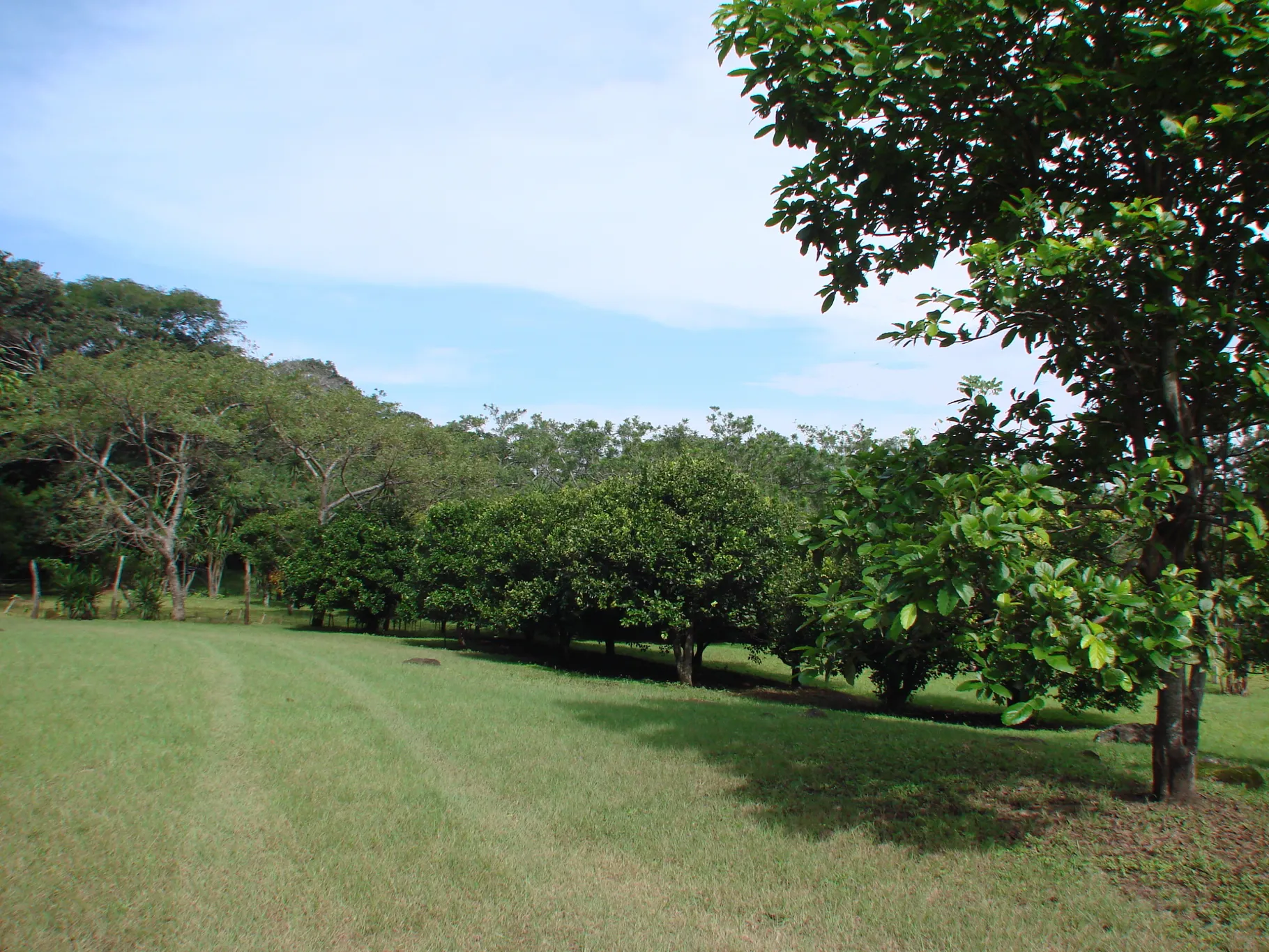 Home construction site property in Cuidad Colón - Lot for sale - image 10