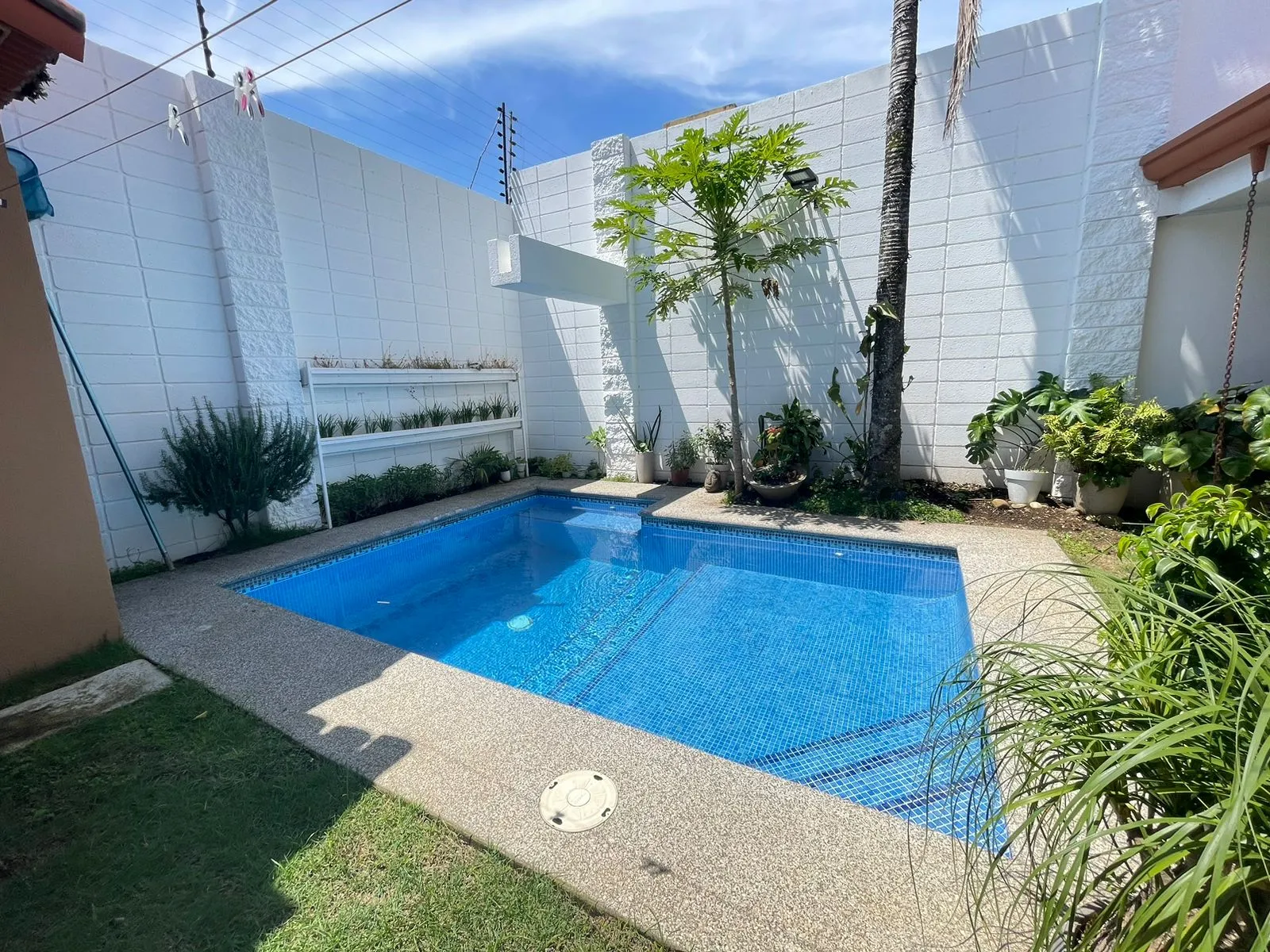 House for Sale or Rent in Belen - image 6