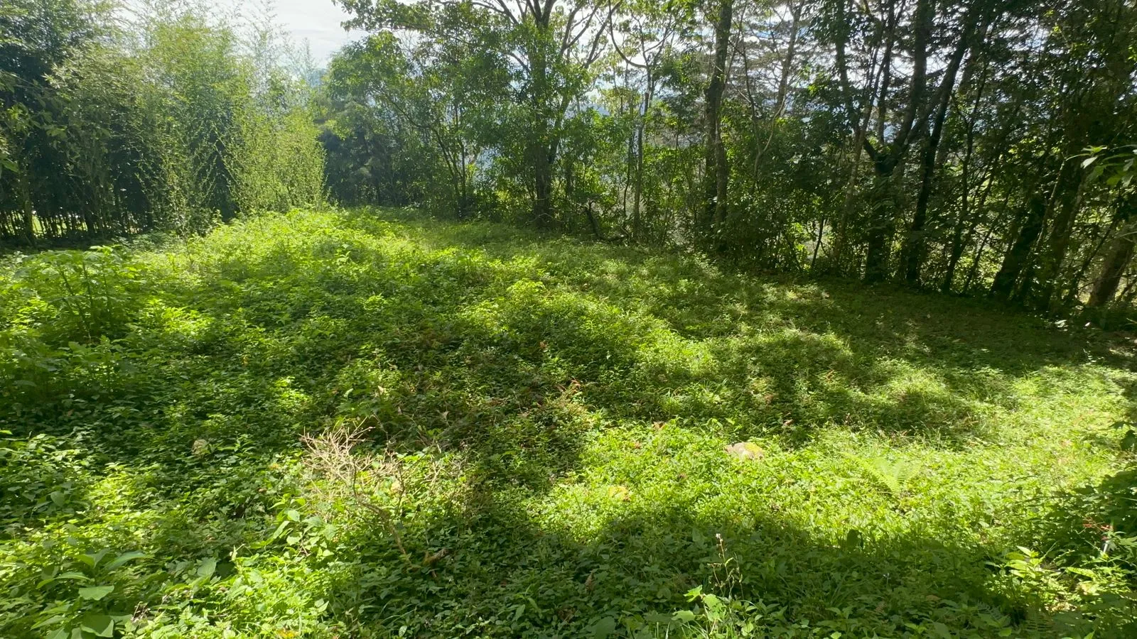 Land for Sale in Tarbaca a Natural and Tranquil Environment - image 3