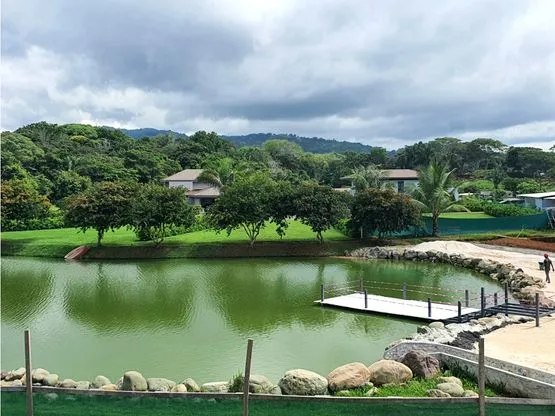 Mistico!!! Exquisite Lake Waterfront property with private pool! Close to the beach. - image 14