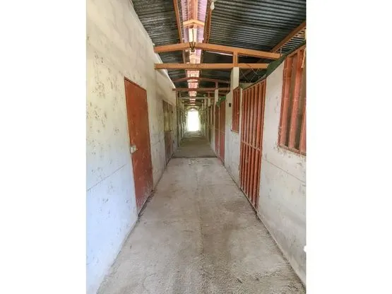Siempre Farm and Sanctuary - image 14
