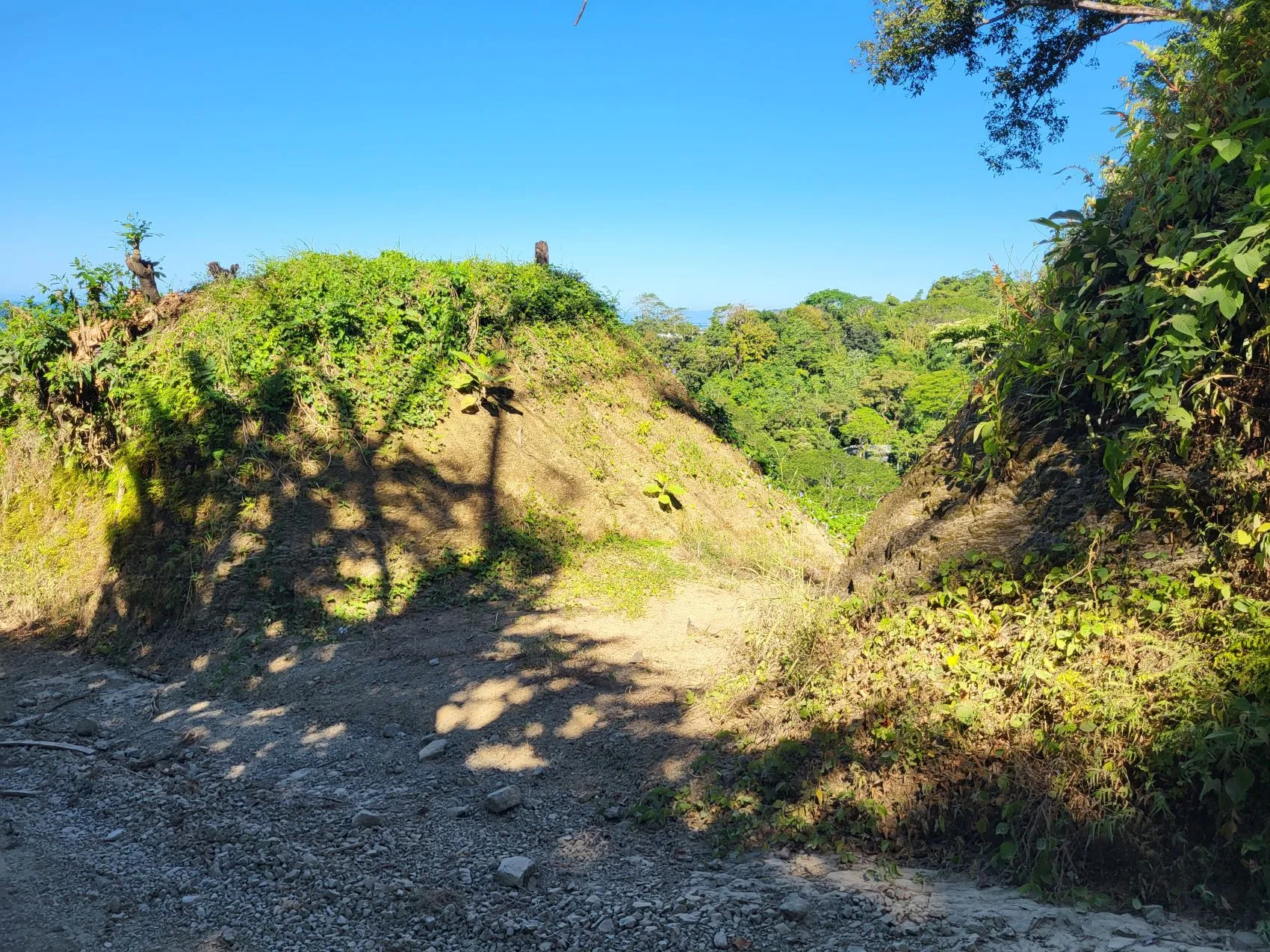 Beautiful 1.8 (18,000 m2) Hectare Mountainside Ocean View Lot in Mal Pais - image 10