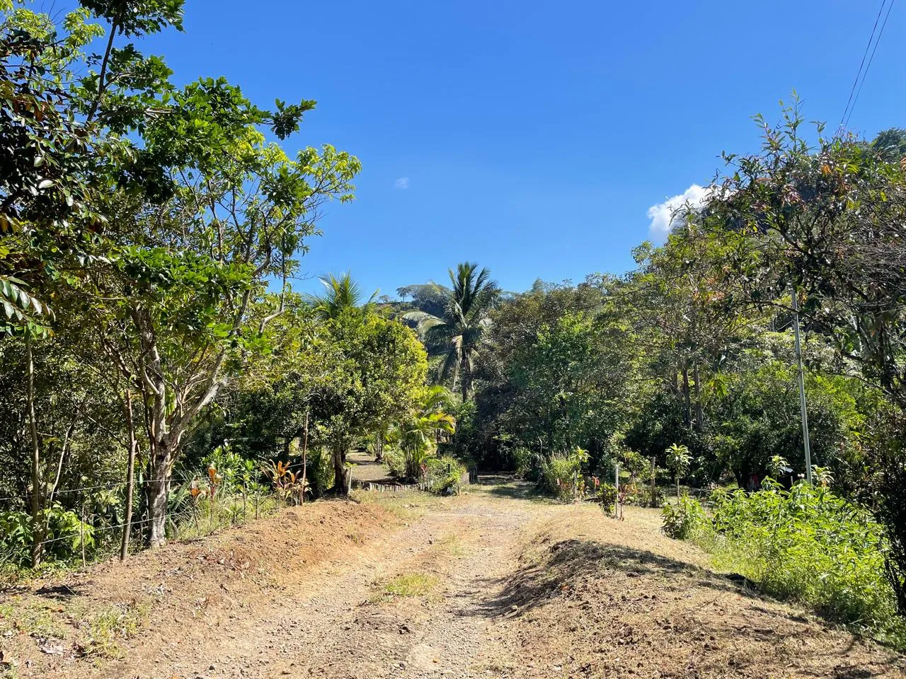 Sale / Impressive Lots (With Permission for Commercial Use), Ciudad Colon, San Jose - image 3