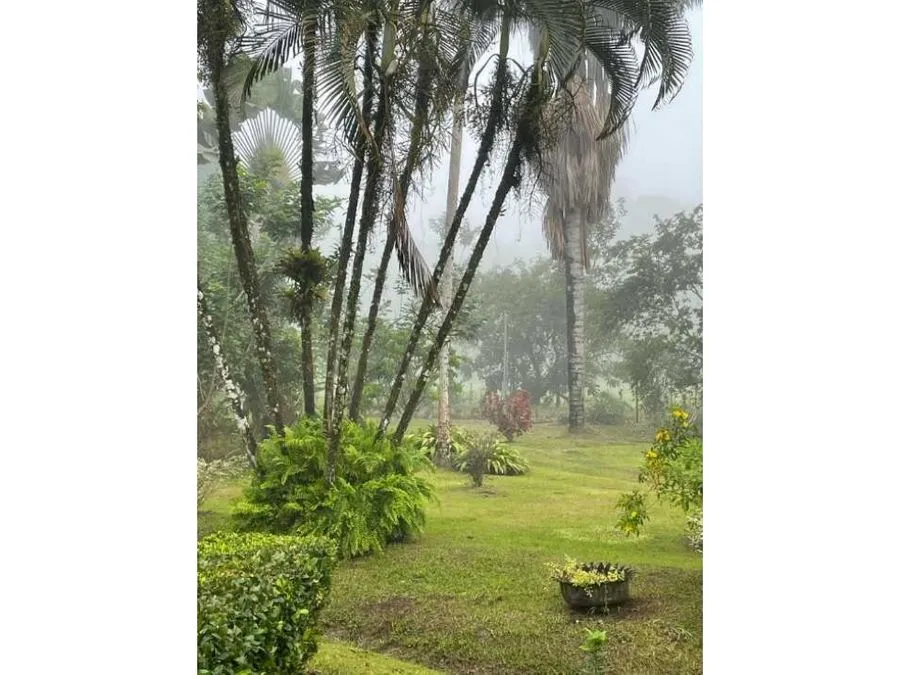 Caribbean Paradise, Guacimo, Limon - image 6