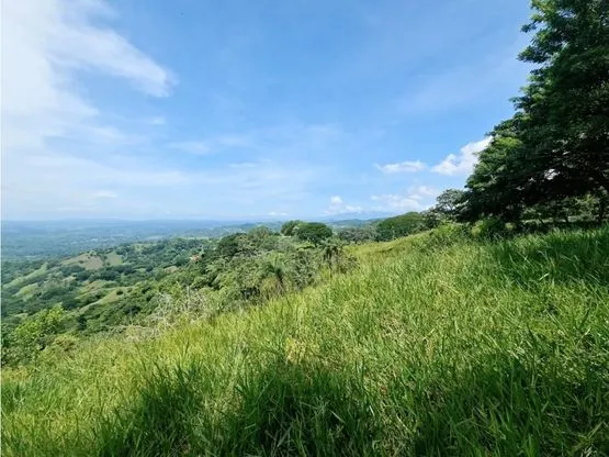 For sale: Developable land in Desmonte - image 2