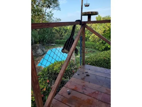  The Best Hotel in The Country For Bird Watching - image 6