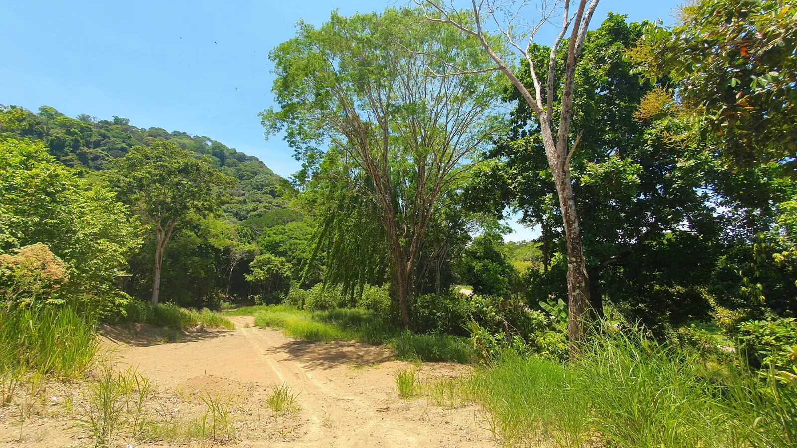 MULTIPURPOSE COMMERCIAL LAND IN OJOCHAL, COSTA RICA - image 12