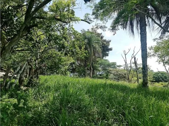 For sale: Developable land in Desmonte - image 4