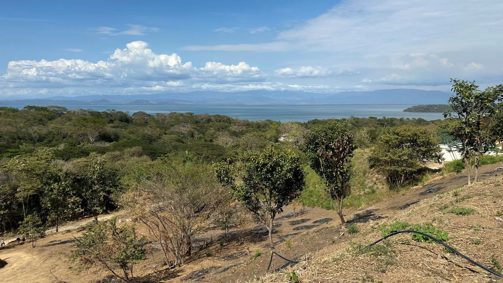 Incredible Ocean view lot in Roma del Mar - image 11