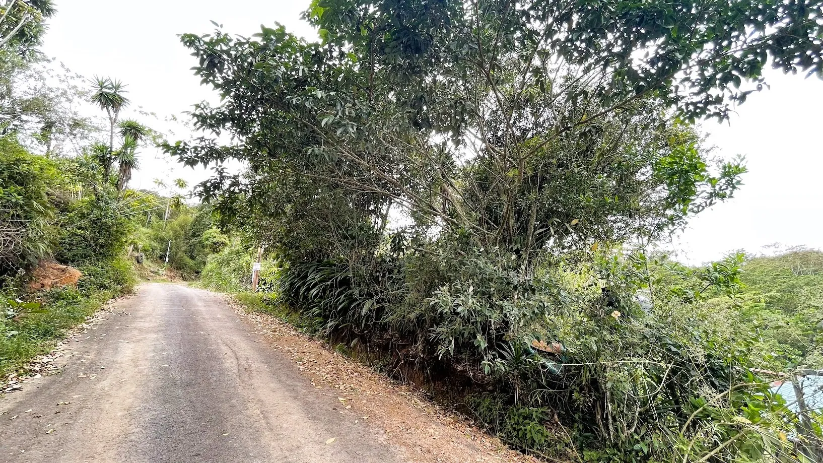 LAND FOR SALE IN SAN RAFAEL, SAN RAMON - image 2