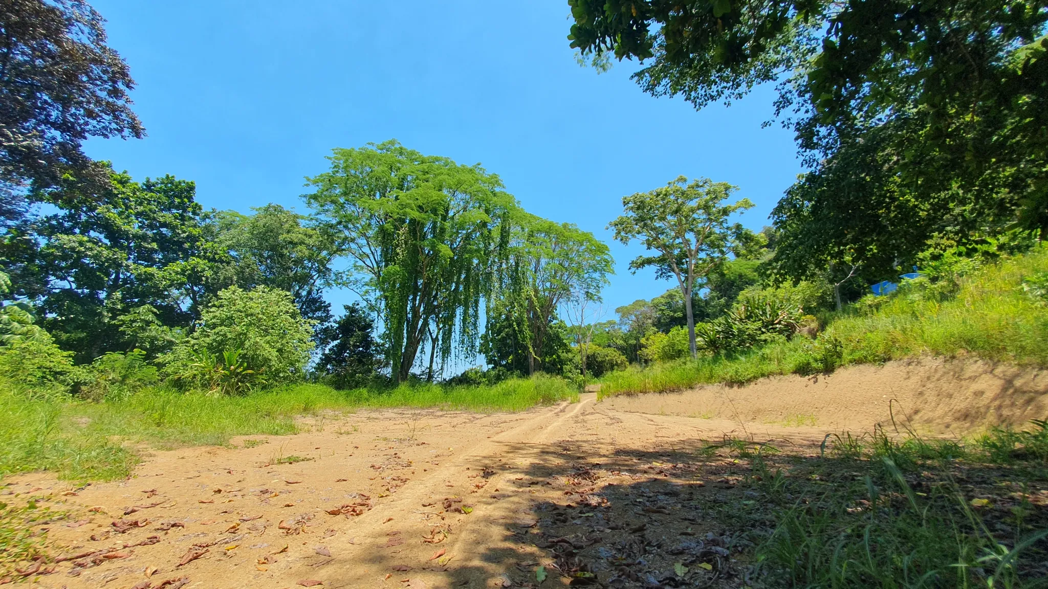 MULTIPURPOSE COMMERCIAL LAND IN OJOCHAL, COSTA RICA - image 10