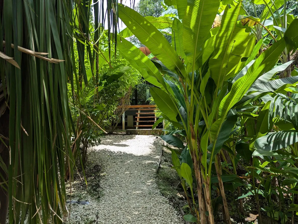 Bed and Breakfast 4 bungalows 2 duplex cabinas pool walking distance to the beach in Santa Teresa - image 2