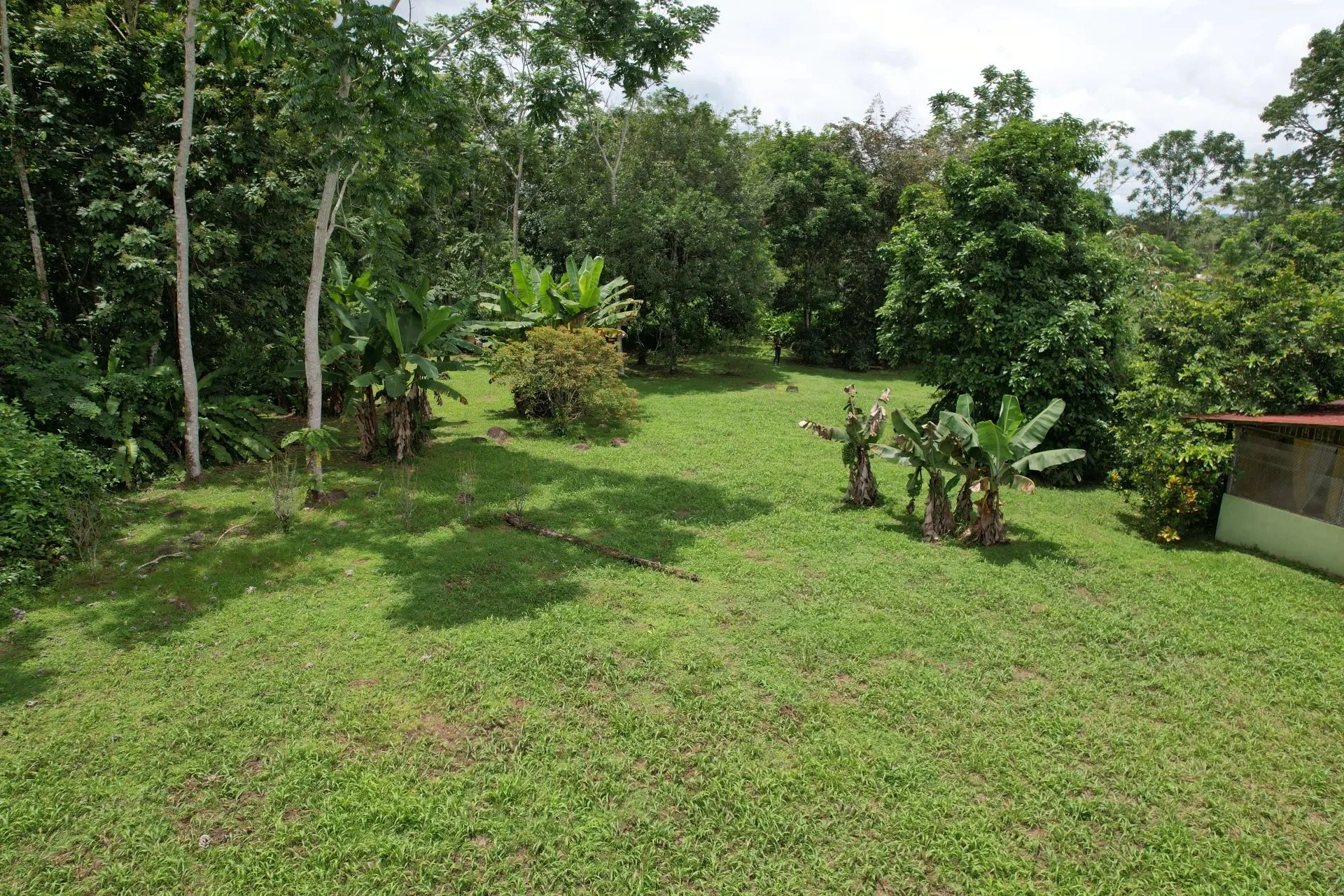 Farm for sale in San Ramon - image 12