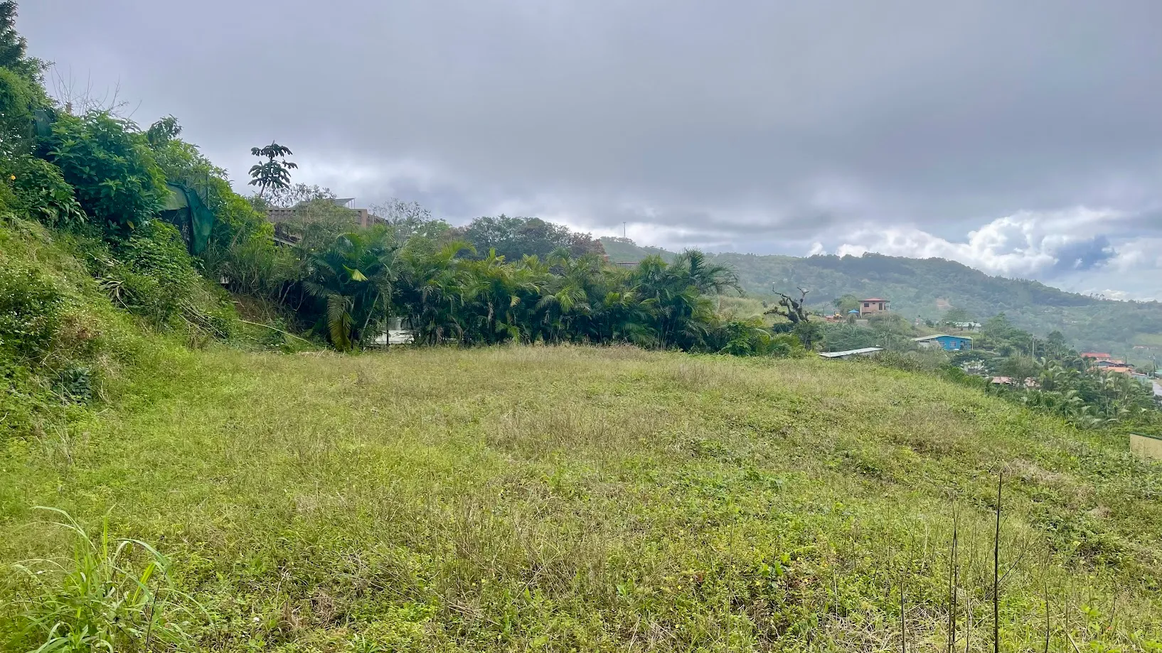  OCEAN VIEW LOT FOR SALE IN SANTIAGO, SAN RAMON  - image 5