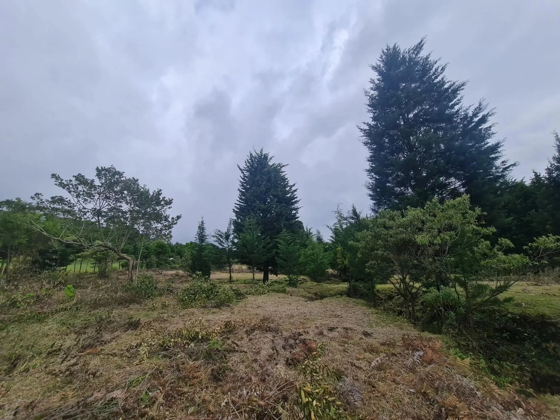 Farm for sale in San Isidro-Grecia, Alajuela - image 3