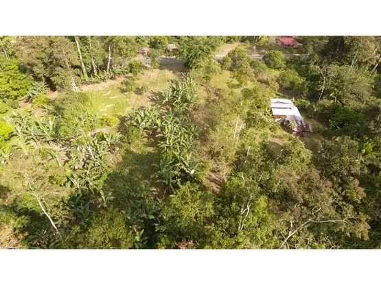 102 hectares of Land in Nanabri, Limón - image 8
