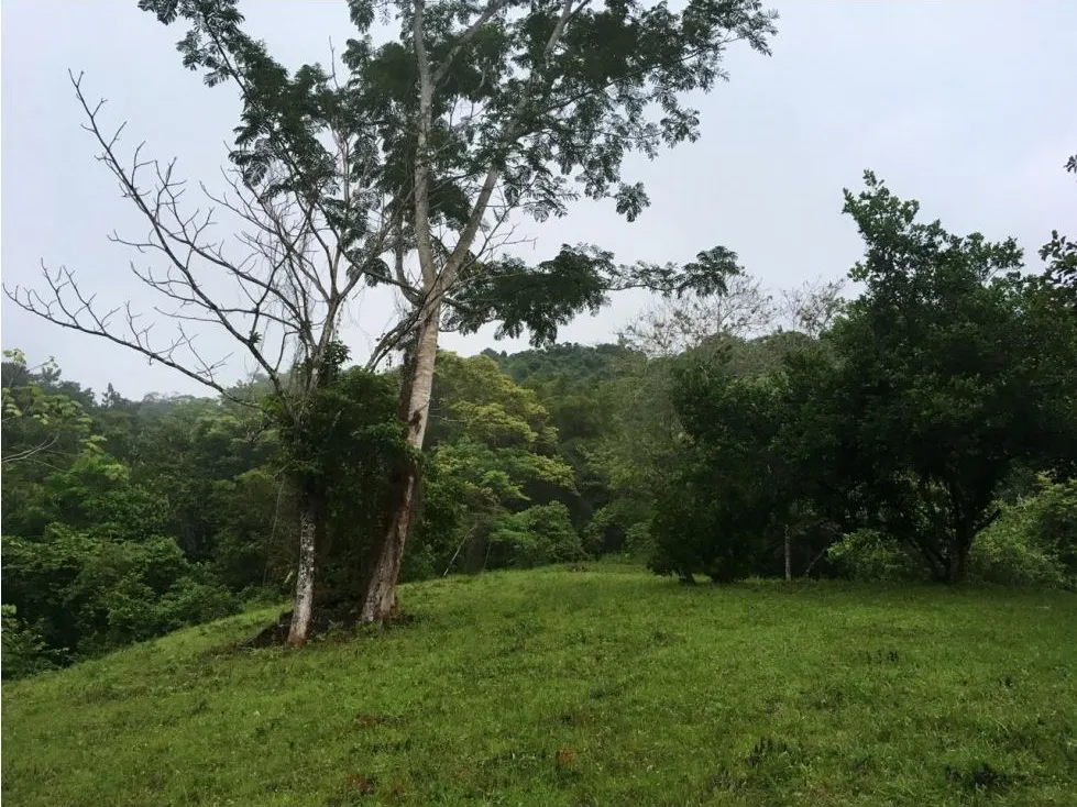  Great Opportunity to Buy Your Lot Of Land In Playa Hermosa, Jaco - image 6