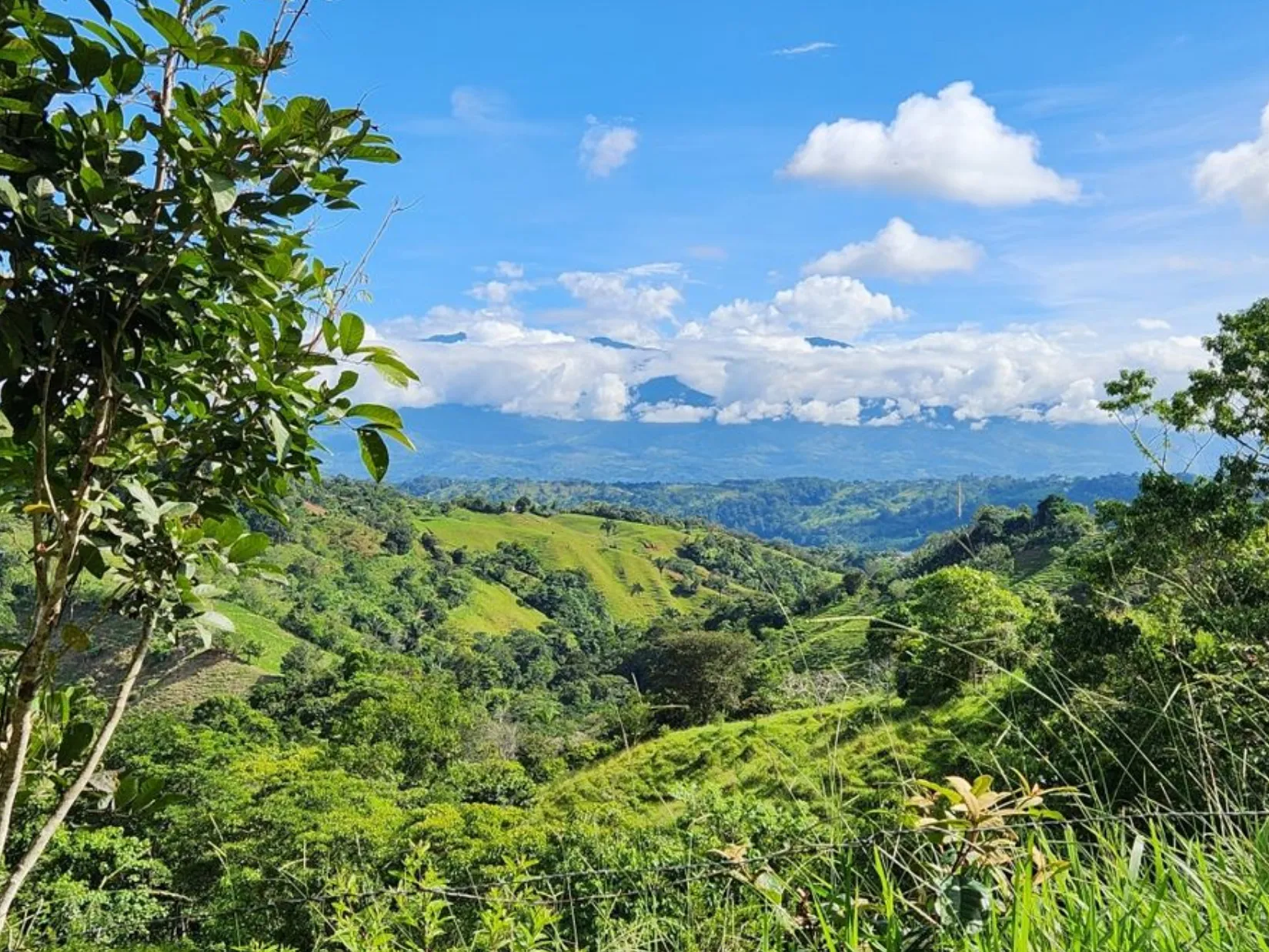 MOUNTAIN VIEW FARM & HOUSE IN PACUARITO, PEREZ ZELEDON - image 4