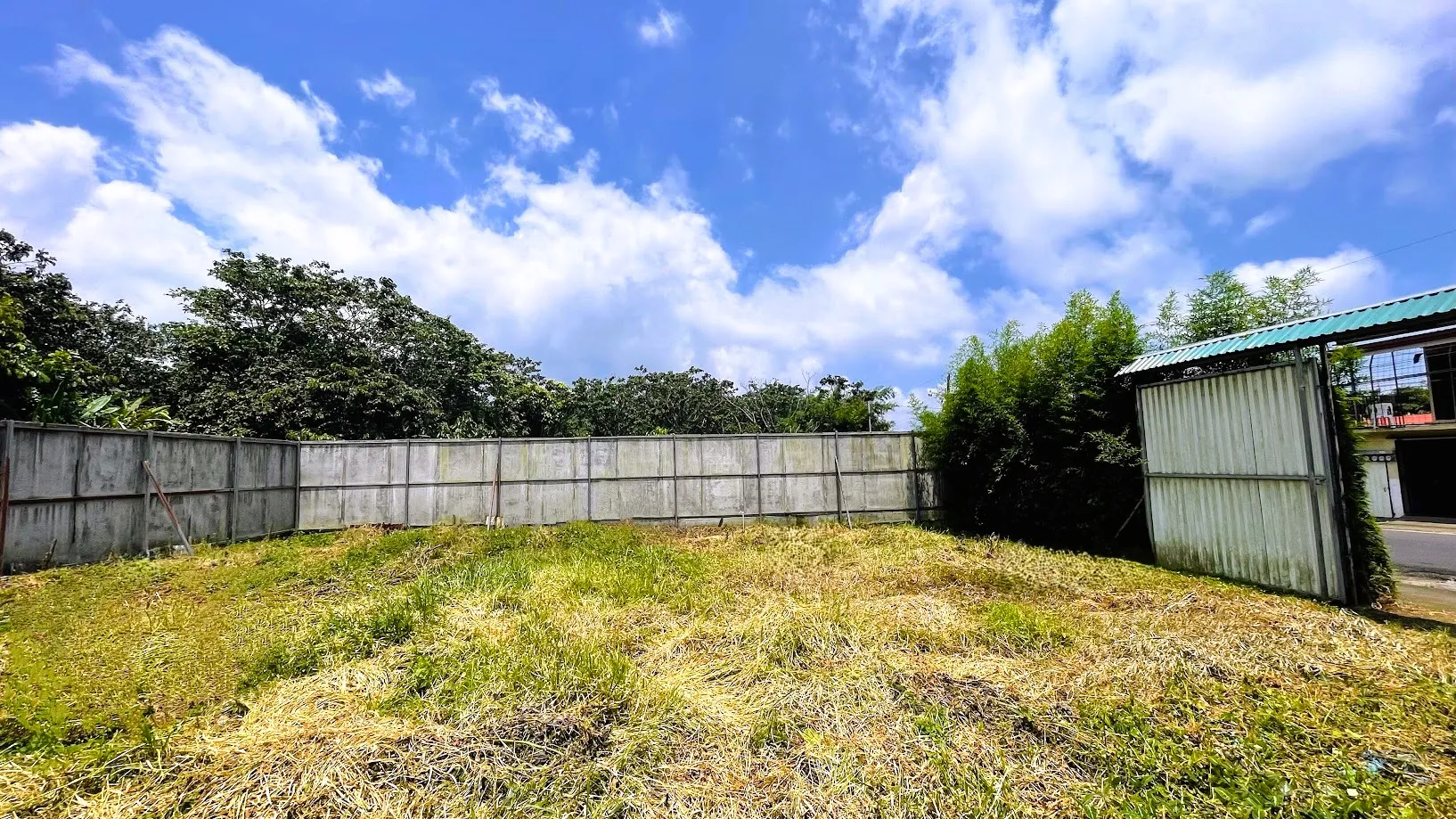 LOT FOR SALE IN SAN JUAN, SAN RAMON - image 9