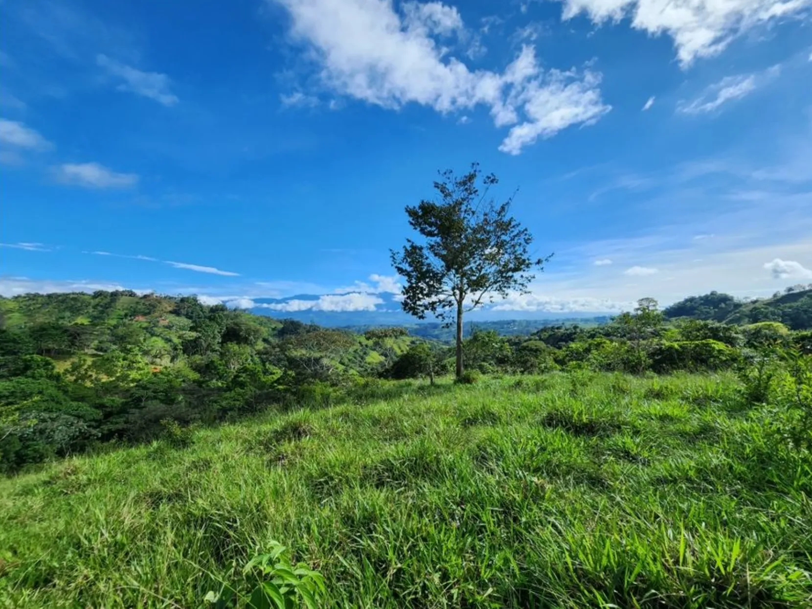 MOUNTAIN VIEW FARM & HOUSE IN PACUARITO, PEREZ ZELEDON - image 6
