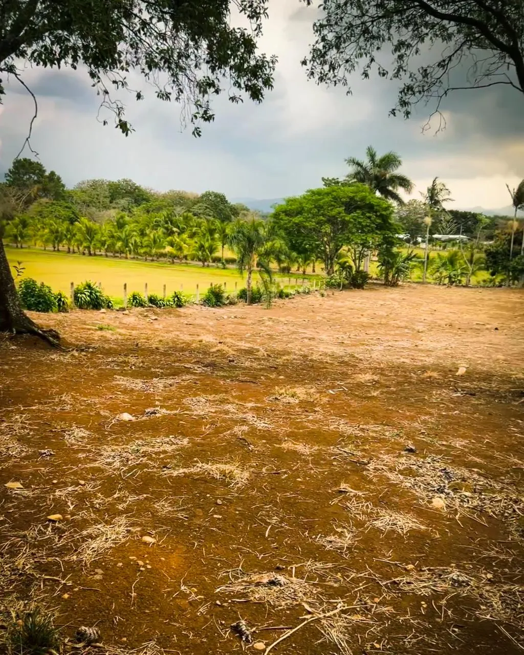 Lot Of Land in La Garita, Alajuela – Nature and Potential for Your Life Project 3,071 m2 - image 3
