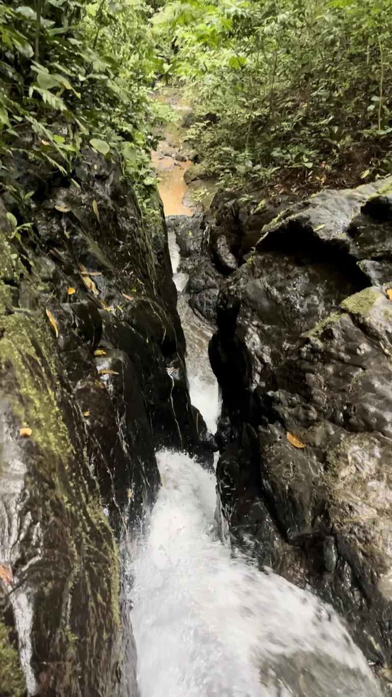  Spectacular Ecological Mountain Farm in Bijagual - image 15