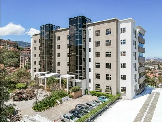 An Oasis in the Heart of the City - image 2