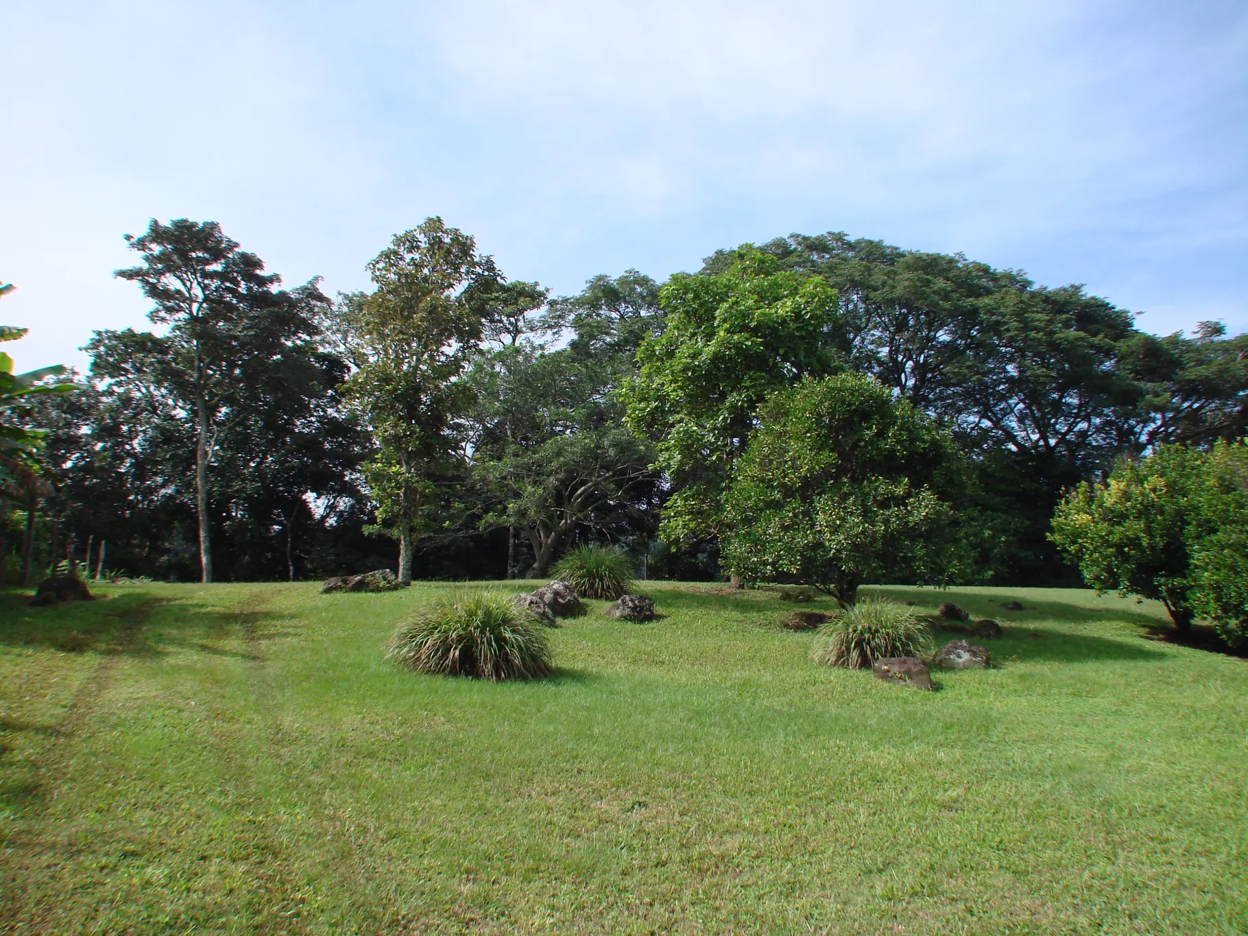 Home construction site property in Cuidad Colón - Lot for sale - image 4