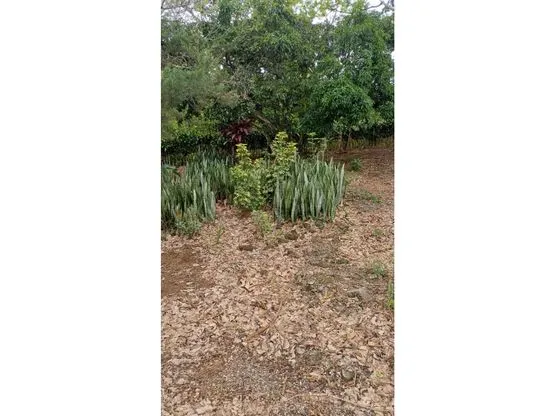Lot for Sale in Santa Bárbara de Heredia - image 7
