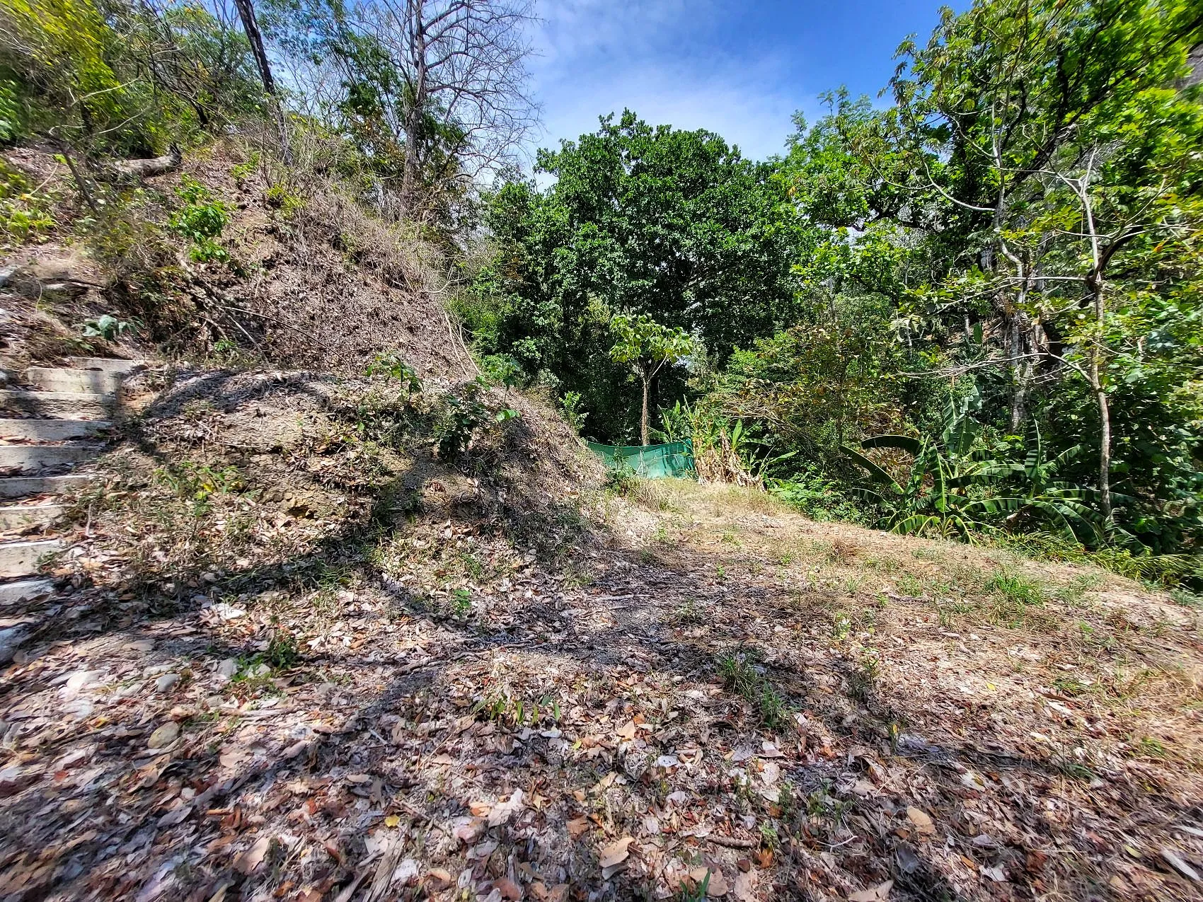 Prime Tropical Dream Lot For Sale - image 10