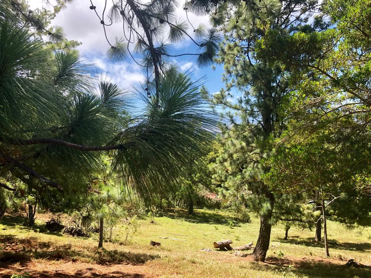 Sale / Beautiful Land (With Permission for Commercial Use) San Isidro, Heredia - image 5