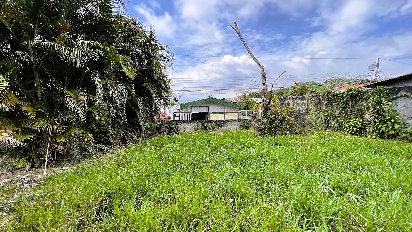 LOT FOR SALE IN SAN ISIDRO, SAN RAMON - image 14