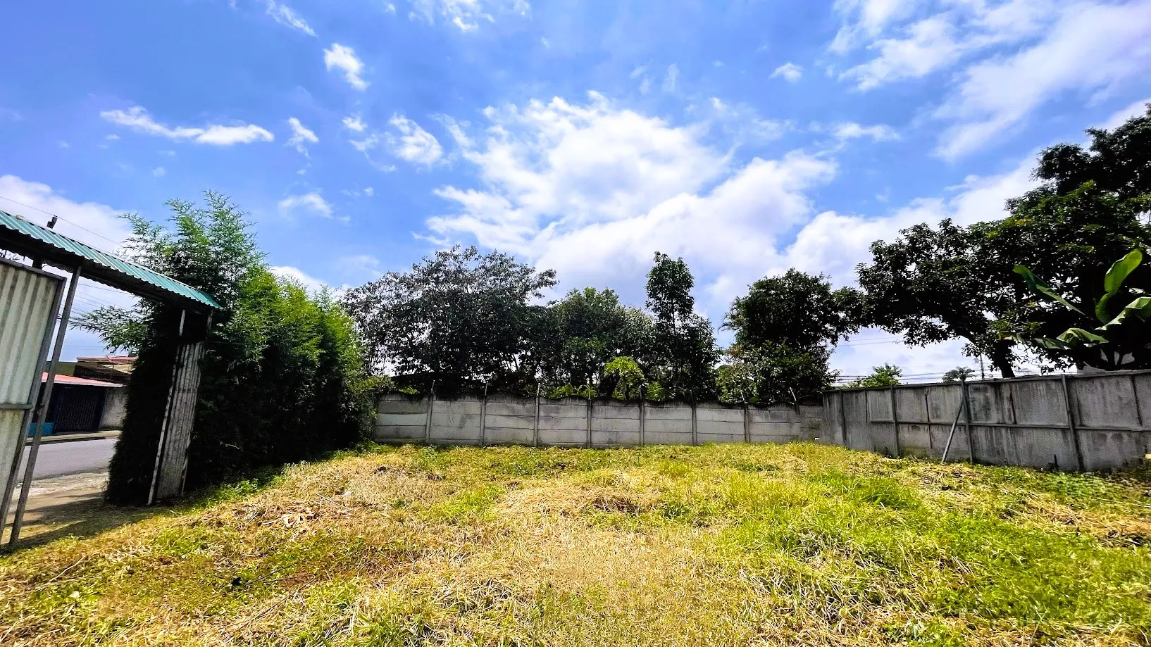LOT FOR SALE IN SAN JUAN, SAN RAMON - image 8