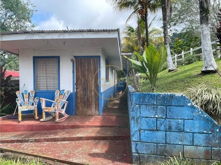 Venta Finca Puriscal - image 4