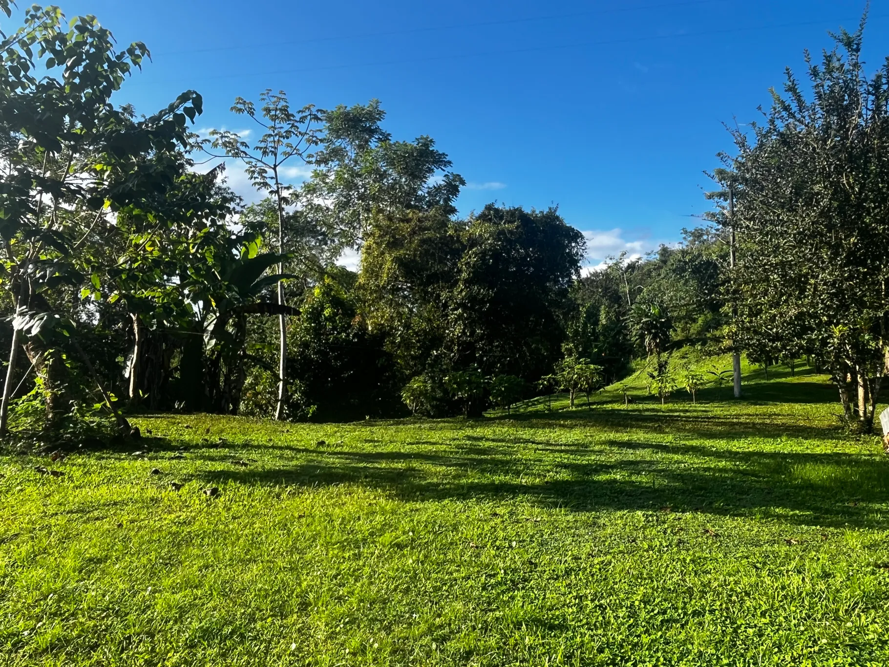  Spectacular Ecological Mountain Farm in Bijagual - image 12
