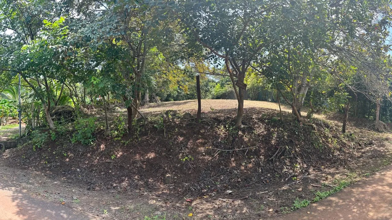 Orotina Lot with Financing Available - image 3