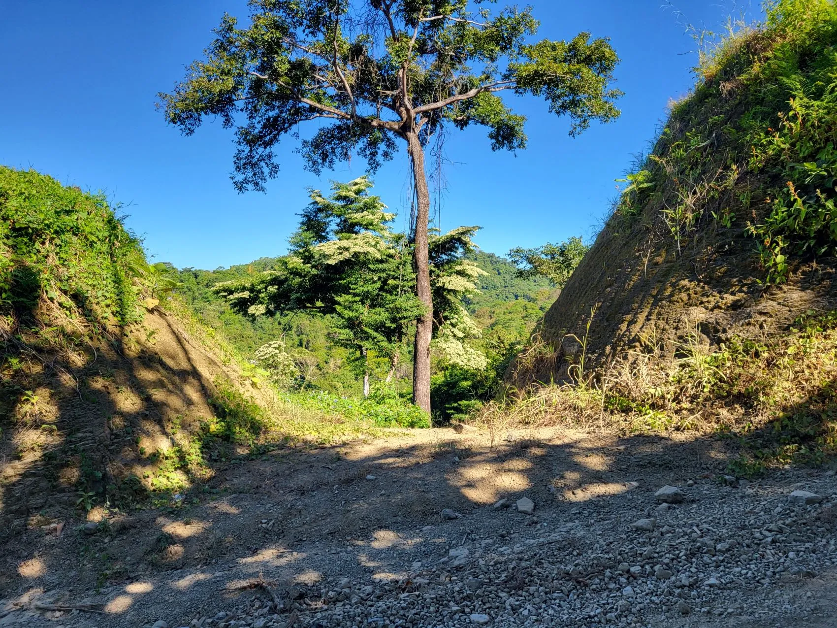 Beautiful 1.8 (18,000 m2) Hectare Mountainside Ocean View Lot in Mal Pais - image 11