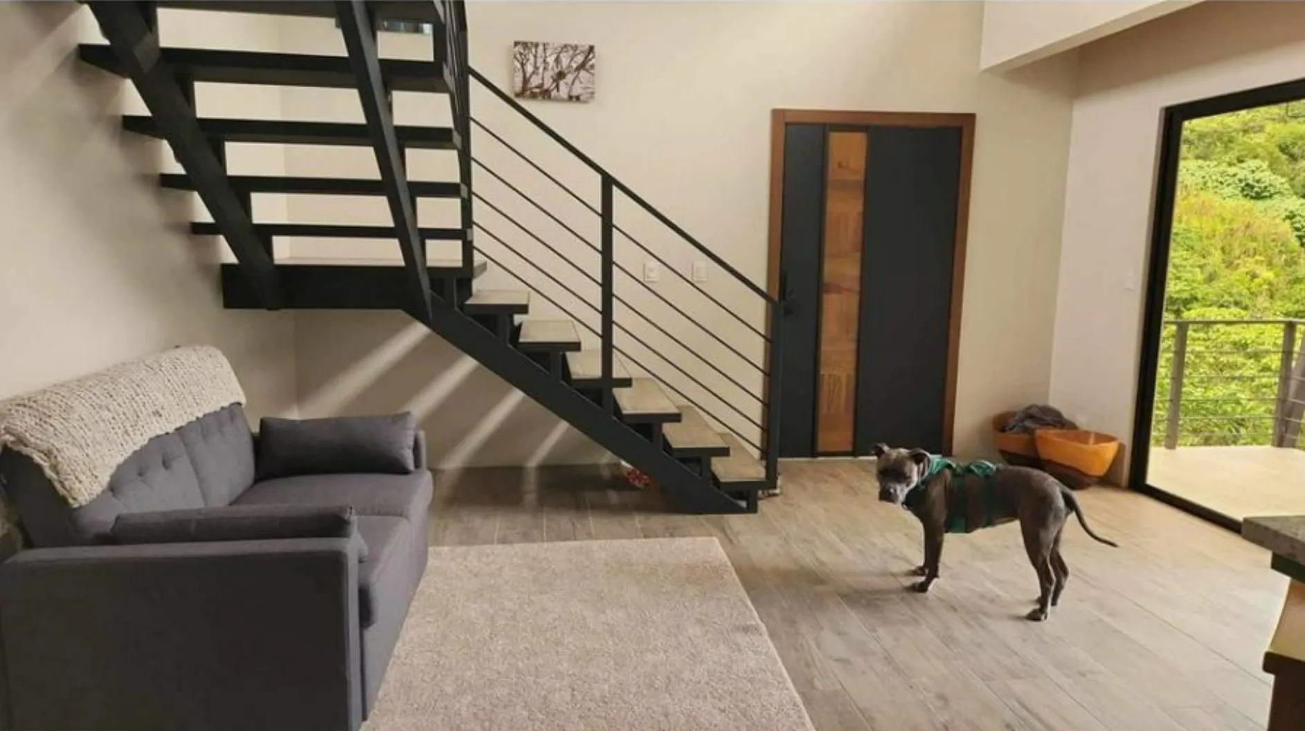 MODERN COUNTRY HOUSE WITH GUEST COTTAGE AMIDST A COFFEE PLANTATION - image 13