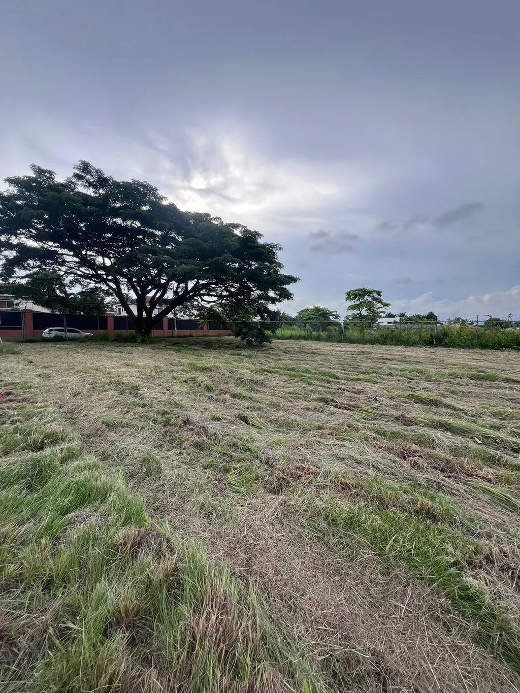  Lot in Lindora, Santa Ana - image 6